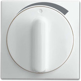 Busch-Jaeger Zentralscheibe, Abdeckung weiß, Retail