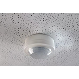 Theben PIRA T8 AP, Bewegungsmelder weiß