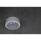 Theben PIRA T8 AP, Bewegungsmelder weiß