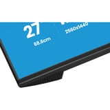iiyama ProLite XB2796QSC-B1, LED-Monitor 68.6 cm (27 Zoll), schwarz (matt), QHD, IPS, HDMI, DP, USB-C, USB-Hub