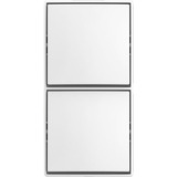 Busch-Jaeger Kombinationsschalter Wechselschalter Aufputz weiß, Retail