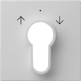 Gira Abdeckung für Schlüsselschalter und Schlüsseltaster lackiert matt grau, Retail