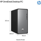 HP OmniDesk M02-0156ng, PC-System schwarz, ohne Betriebssystem