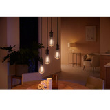 Philips Hue White Ambiance Filament Lampe E27 Giant Edison ST72 550 lm, LED-Lampe 
