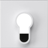 Gira Abdeckung für Schlüsselschalter und Schlüsseltaster unbedruckt seidenmatt weiß, Retail