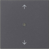 Gira Wippe einefach anthrazit, Retail