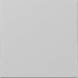 Gira Wippe lackiert matt grau, Retail