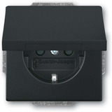 Busch-Jaeger Schutzkontaktsteckdose Einsatz 20 EUKBR-885 schwarz, Retail