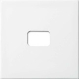 Busch-Jaeger Wippe offen für Symbol, Abdeckung Retail