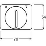 Busch-Jaeger Zentralscheibe Jalousie mit Drehgriff 1740 DR-21, Abdeckung bronze, Retail