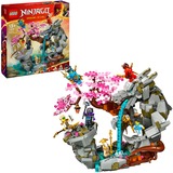 71819 Ninjago Drachenstein-Tempel, Konstruktionsspielzeug