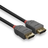 Lindy DisplayPort 1.4 Kabel, Anthra Line schwarz, 5 Meter
