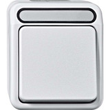 Merten Taster Schließer einpolig mit Wippe, Aufputz, Schutzart IP44, 250 Volt, 10 Ampere hellgrau, Retail