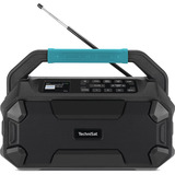 TechniSat VIOLA 231 OD, Radio schwarz, Retail