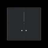 Busch-Jaeger Zentralscheibe 1785/11 K-45M, Abdeckung schwarz, Retail