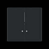 Busch-Jaeger Zentralscheibe 1785/11 K-45M, Abdeckung schwarz, Retail