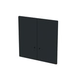 Busch-Jaeger Zentralscheibe 1785/11 K-45M, Abdeckung schwarz, Retail