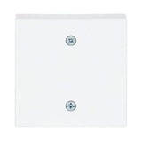 Busch-Jaeger Zentralscheibe, Abdeckung weiß, Retail