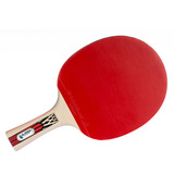 Donic-Schildkröt Tischtennisschläger Legends 900 FSC, Fitnessgerät 