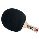 Donic-Schildkröt Tischtennisschläger Legends 900 FSC, Fitnessgerät 