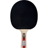 Donic-Schildkröt Tischtennisschläger Legends 900, Fitnessgerät 