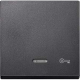 Merten Wippe Kontrollfenster anthrazit, Retail