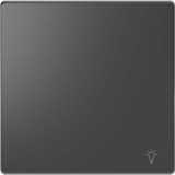 Merten Wippe mit Kennzeichnung Licht für Wechselschalter Kreuzschalter und Taster Einsatz anthrazit, Retail