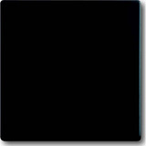 Busch-Jaeger Wippe matt zweiteilig schwarz, Retail