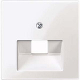 Merten Zentralplatte für Universal-Anschluss-Einsätze, Unterputzmontage, glänzend, Kunststoff weiß (glänzend), Retail