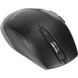 Targus Anti Microbial Ergonomic Blue Trace Maus schwarz