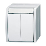 Busch-Jaeger Doppeltaster Serientaster mit zwei Schließern und Druckknopf weiß (matt), Retail