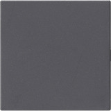 Gira Blindabdeckung ohne Tragring anthrazit, Retail