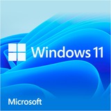 Microsoft Windows 11 Home, Betriebssystem-Software 64-Bit, Deutsch, USB-Stick