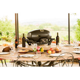 Napoleon TRAVELQ PRO285 Set, Gasgrill schwarz, inkl. Grillplatte, Warmhalter, Haube