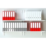 fischer Dübel SX Plus 6x50 K hellgrau, 10 Stück