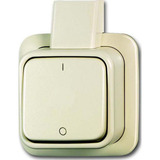 Busch-Jaeger Ausschalter zwei polig weiß, Retail