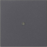 Gira Wippe einfach anthrazit, Retail