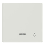 Merten Wippe Kontrollfenster für Fenster mit Aufdruck Licht, glänzend, Thermoplast, Typ 435919 weiß (glänzend), Retail