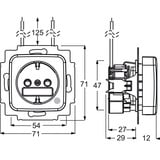 Busch-Jaeger Schutzkontakt-Steckdoseneinsatz grün, Retail