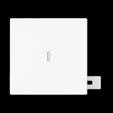 Busch-Jaeger Wippe mit Kalotte Kontroll weiß, Retail