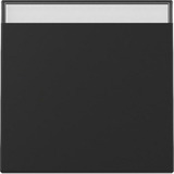 Gira Wippe mit Beschriftungsfeld blanko schwarz, Retail