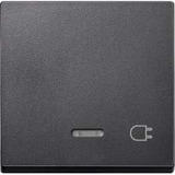 Merten Wippe Kontrollfenster Fenster anthrazit, Retail