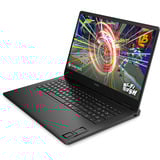 OMEN 17-db1073ng, Gaming-Notebook schwarz, AMD Ryzen AI 7 350, NVIDIA GeForce RTX 5060, 32 GB DDR5, 1 TB (1 TB SSD), Windows 11 Home