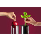 nutribullet Entsafter Pro NBJ200G silber/grau, 1.000 Watt