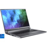 Acer Predator Triton 500 SE (PT516-51s-71M8), Gaming-Notebook grau, Windows 11 Home 64-Bit, 165 Hz Display, 512 GB SSD