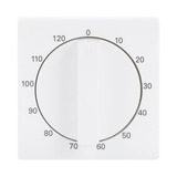 Busch-Jaeger Zentralscheibe Bedienelement, Zeitschaltuhr weiß, Retail