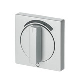 Busch-Jaeger Zentralscheibe mit Drehgriff und Aufdruck, Abdeckung Retail