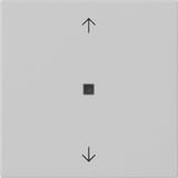 Gira Wippe einfach mit Pfeilsymbolen und Kontrollfenster lackiert grau, Retail