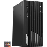 MSI PRO DP20Z 5M-006DE, PC-System schwarz, Windows 10 Pro 64-Bit