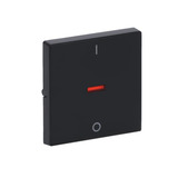 Busch-Jaeger Kontroll-Wippe mit Aufdruck Ein Aus anthrazit, Retail